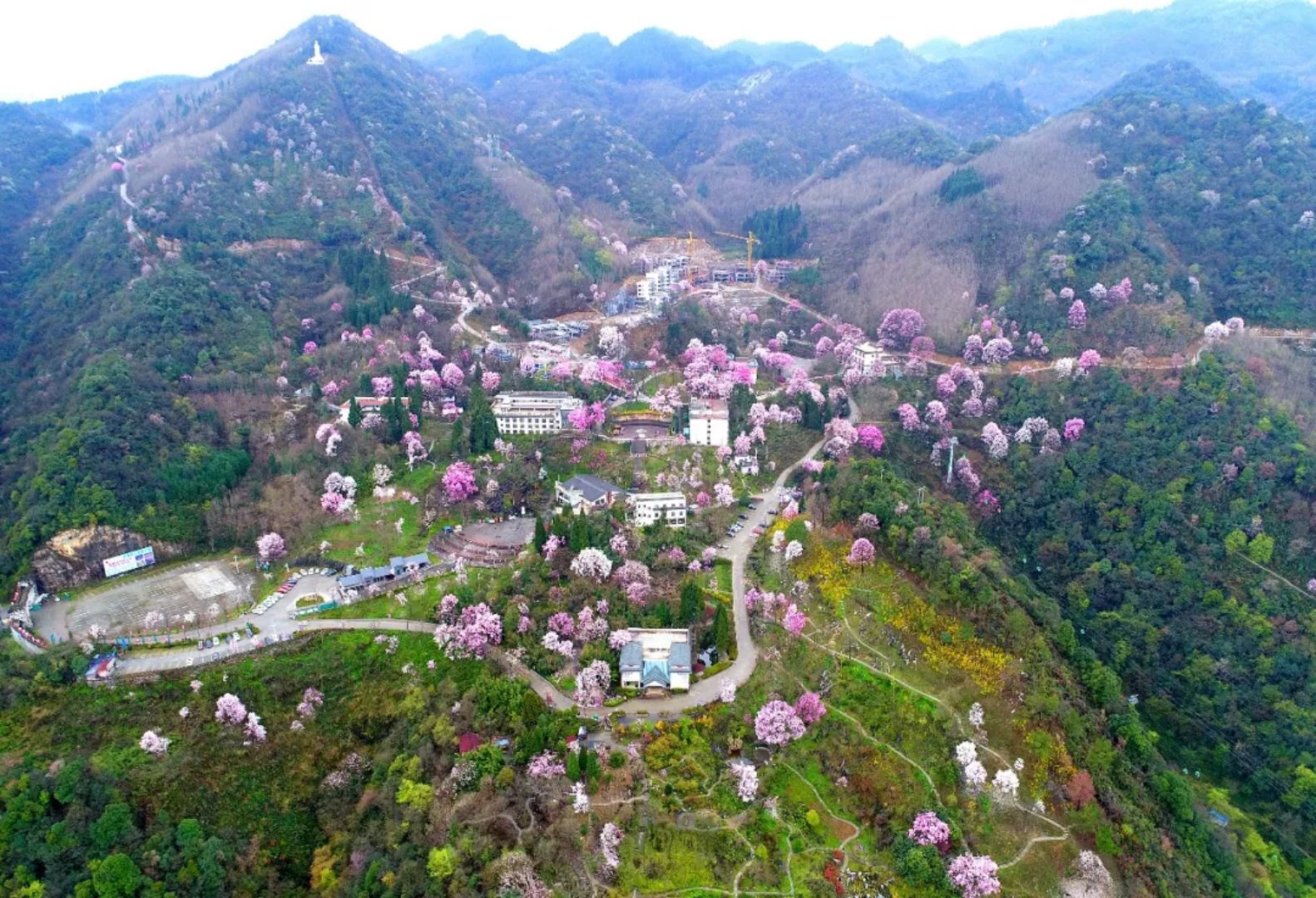 1526131680183071488.jpg 15.jpg